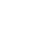 icon VWUS